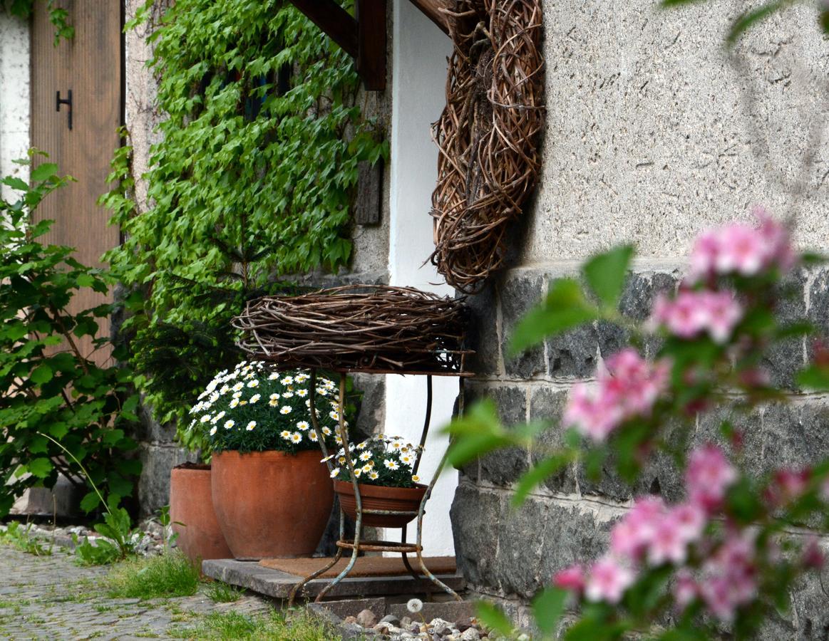 Apartment Im Garten 9 Гаргаццоне Екстер'єр фото